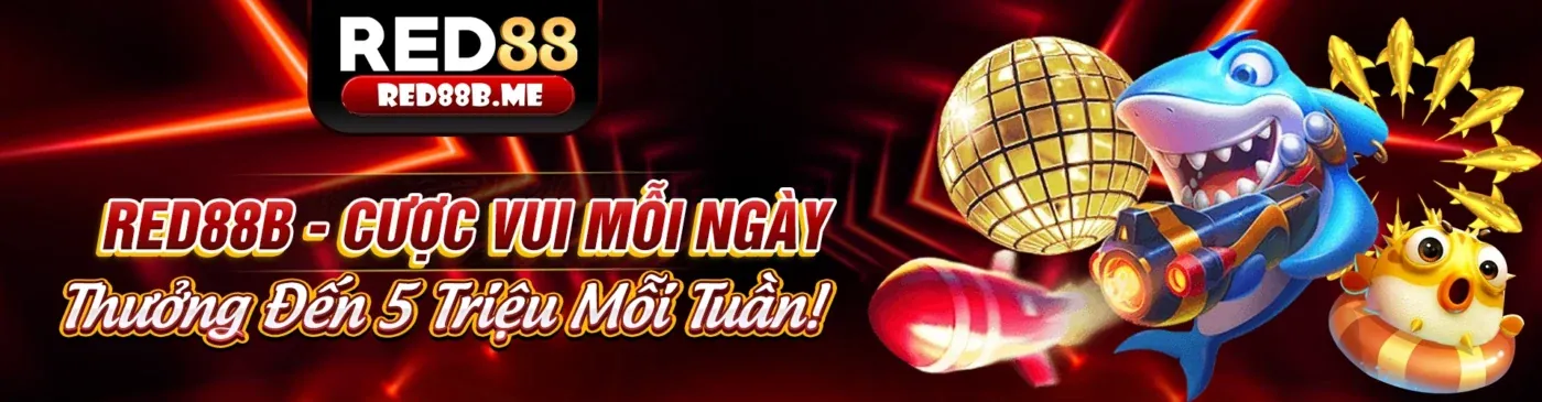 Chính sách bảo vệ dữ liệu người dùng của vb66 chính thức